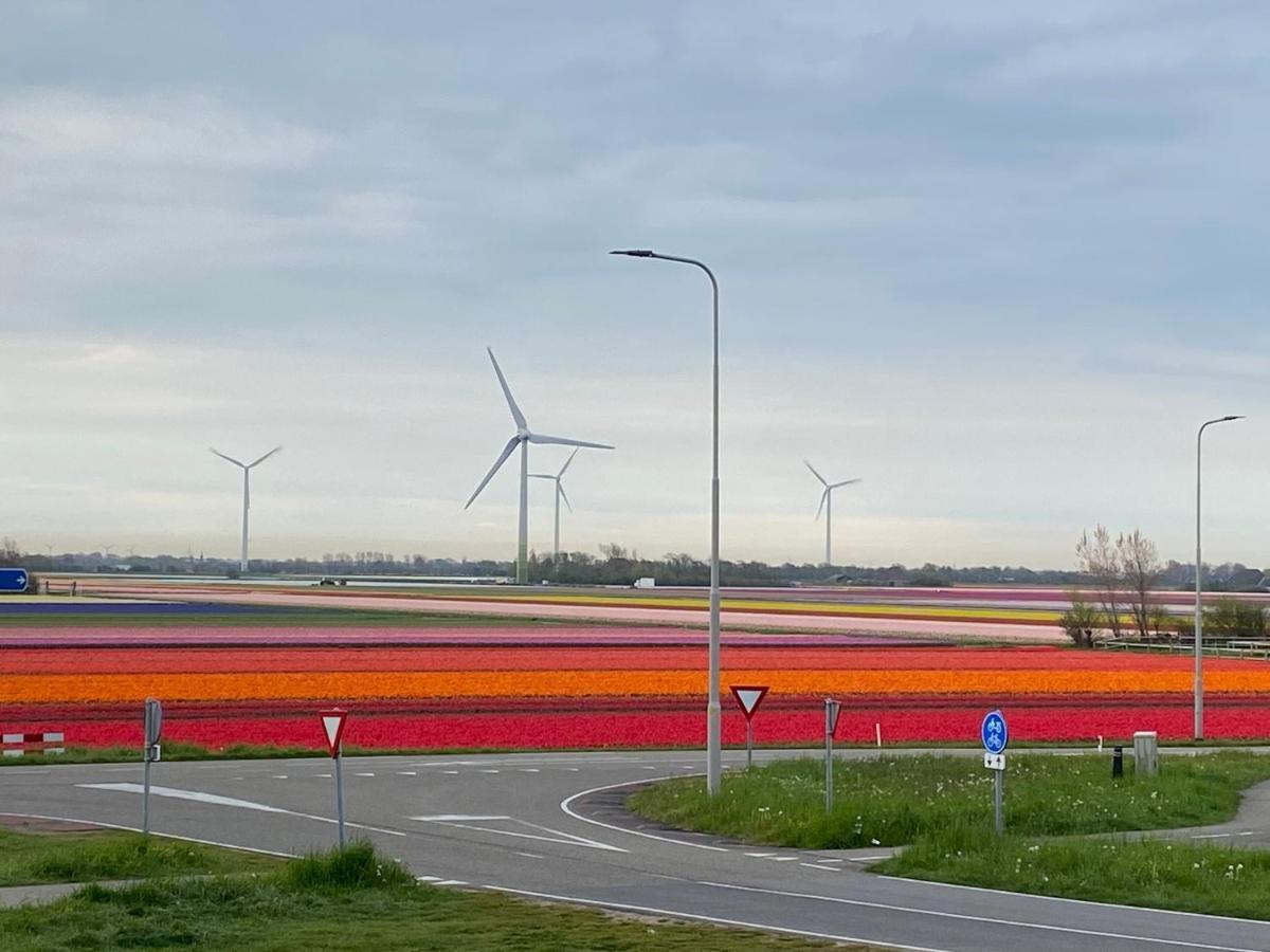 Zijperweg Vakantiehuis Vlakbij Zee, Strand En Bos بيتين المظهر الخارجي الصورة