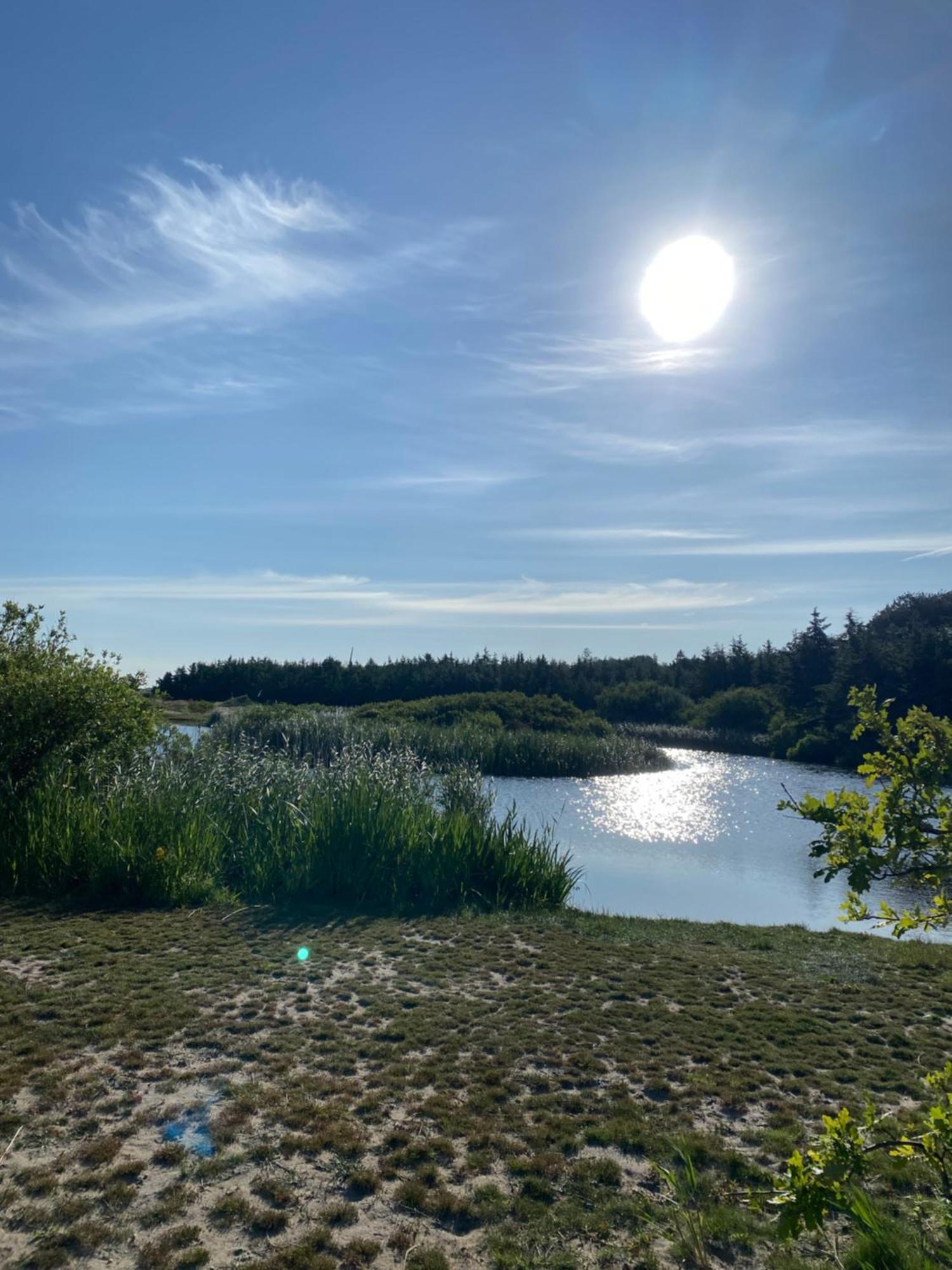 Zijperweg Vakantiehuis Vlakbij Zee, Strand En Bos بيتين المظهر الخارجي الصورة